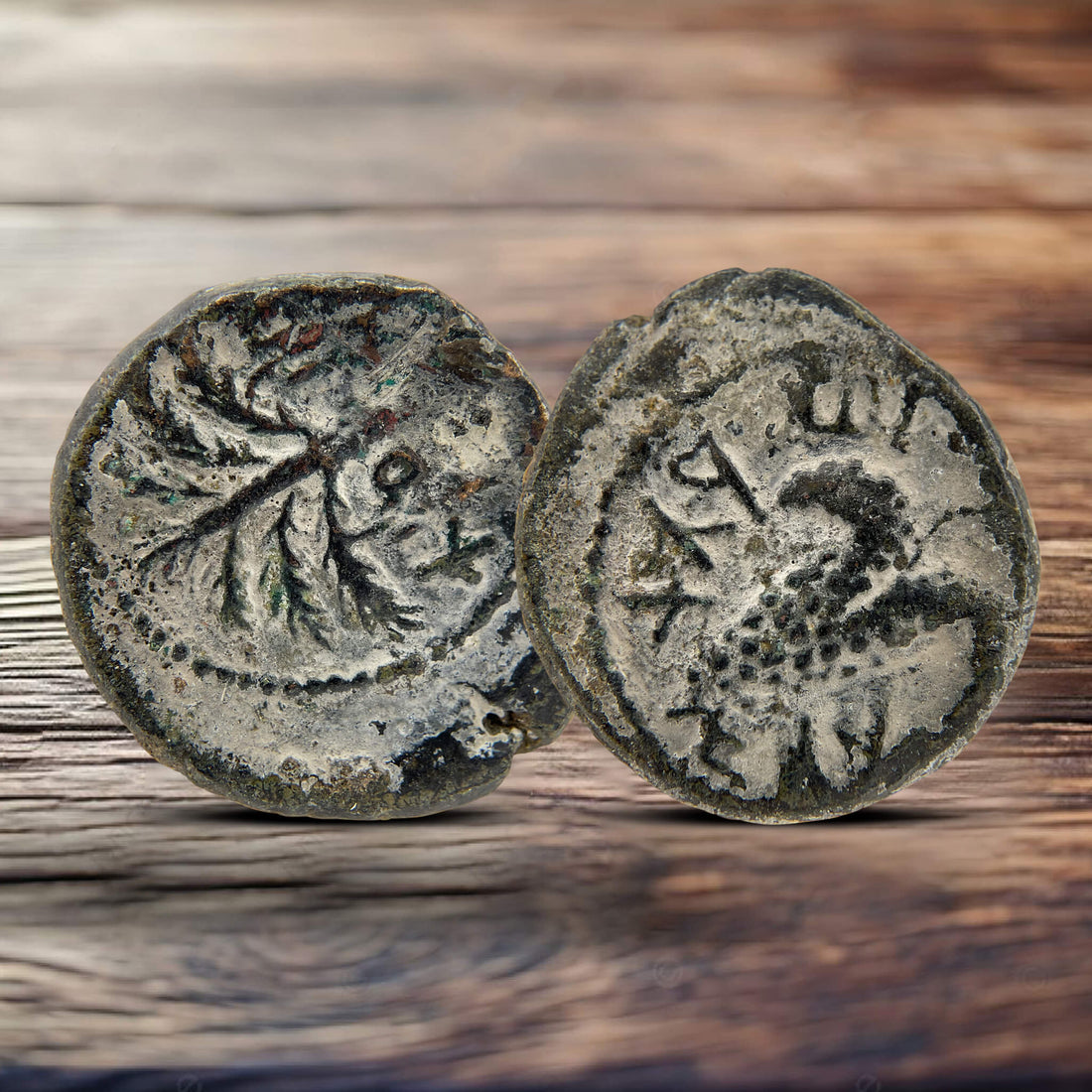 Bar Kochba Revolt Ancient Coin